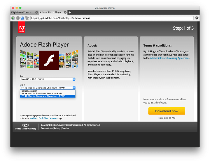 please download the latest version of adobe flash player problem